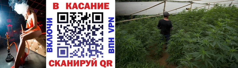 Купить наркотики цена Курск Канабис  мега ССЫЛКА  ГАШИШ  Альфа ПВП 