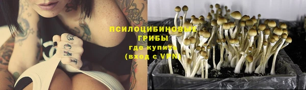 прущие крисы Няндома