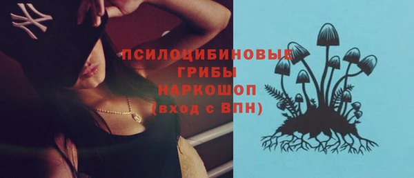 прущие крисы Няндома