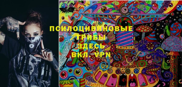 экстази Осташков