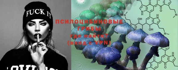экстази Осташков