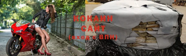прущие крисы Няндома