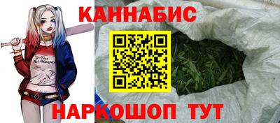 крисы Заводоуковск