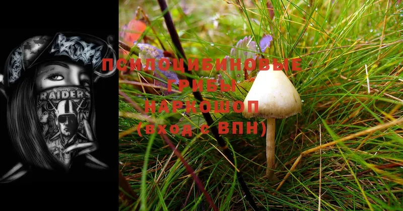 Псилоцибиновые грибы Psilocybe  MEGA   Курск 