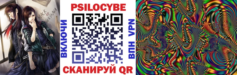 KRAKEN зеркало  Курск  Псилоцибиновые грибы Psilocybine cubensis 