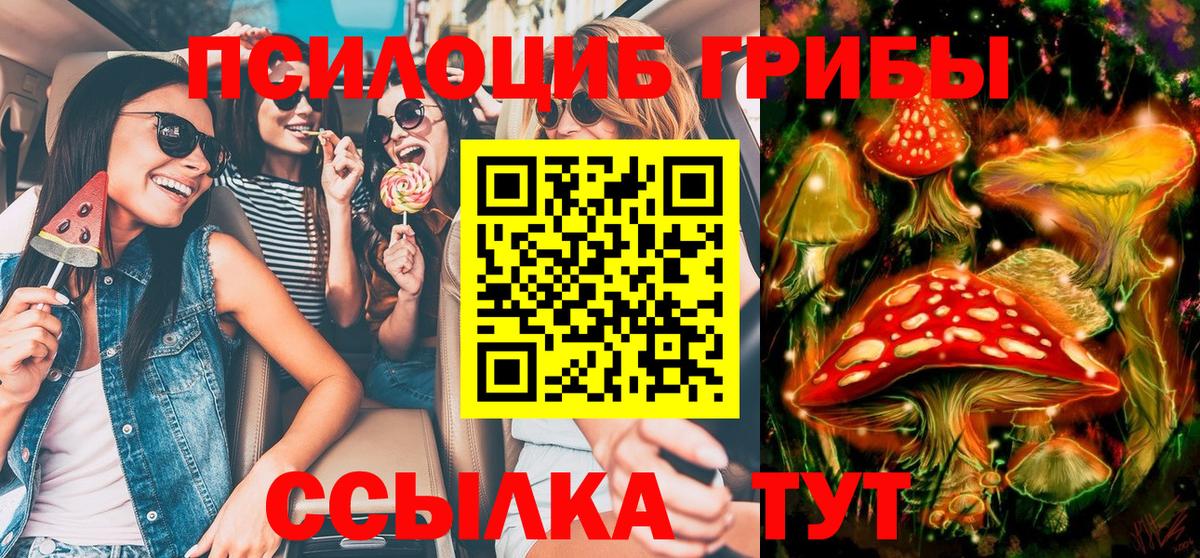 Псилоцибиновые грибы Magic Shrooms  Вход с VPN  Курск 