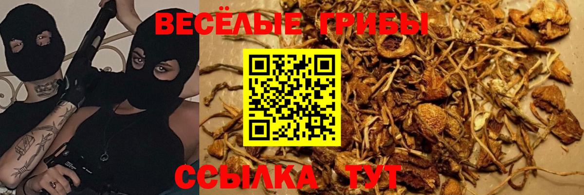 Меф  Вход с VPN  Курск  Бошки Шишки  МЕФ  Кислота  Альфа ПВП  Ляпка  Круглые 